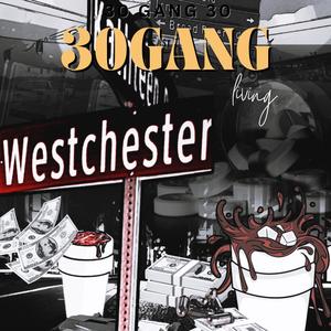 Saine (feat. 6ixtwo & RichAhk) (Explicit)