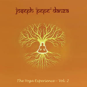 Yoga Experience (Volume 2)