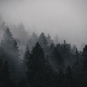 Where Did You Sleep Last Night