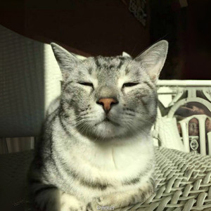 让我留在你身边