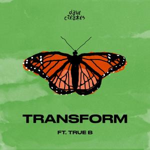 transform(feat. True B)