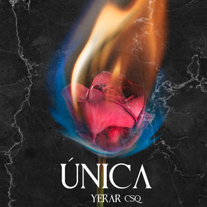 YERAR CSQ - Única