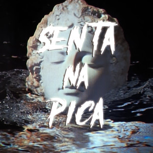 SENTA NA PICA (Ultra Slowed)