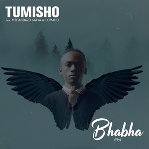 Bhabha (Fly)