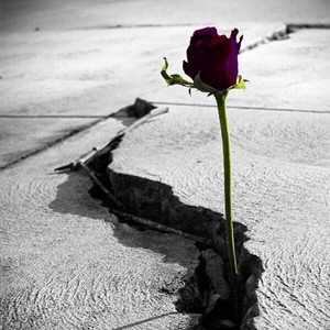 Mind of My Own(feat. Emi Schneider)