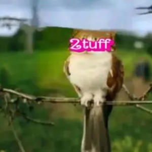 Don't talk to me out of pity (feat. TheyhxteAnt) (Explicit)