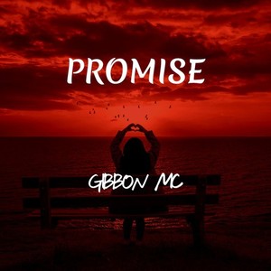 Promise