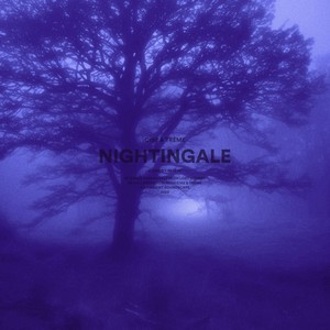 nightingale (slowed + reverb)