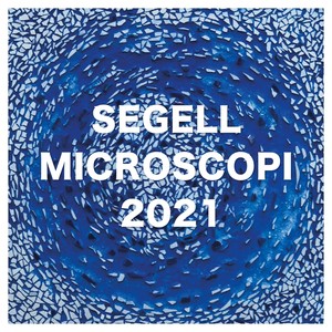 Segell Microscopi 2021