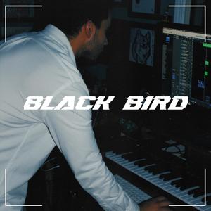 Black Bird (Explicit)