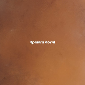 Spinam dorsi