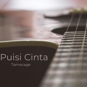 Puisi Cinta(feat. Tamacage)