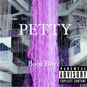 PETTY (Explicit)