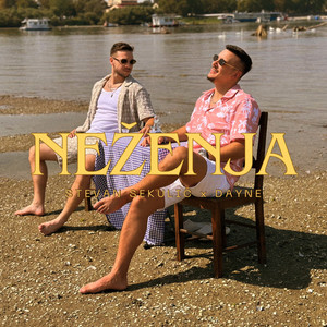Nezenja