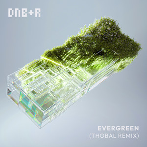 Evergreen (Thobal Remix) [Explicit]