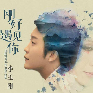 刚好遇见你 (Faded / Seve) (Remix)