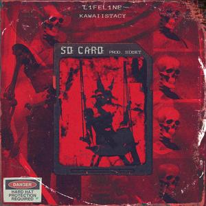 SD Card (feat. KawaiiStacy) [Explicit]