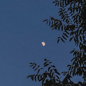 연락해 볼까 말까 (feat.DANY)