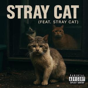 Stray Cat (feat. Stray Cat)