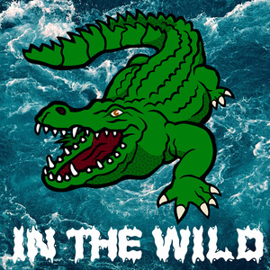 7 in the Wild (Extended Version)