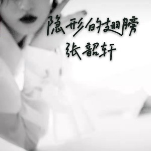 隐形的翅膀