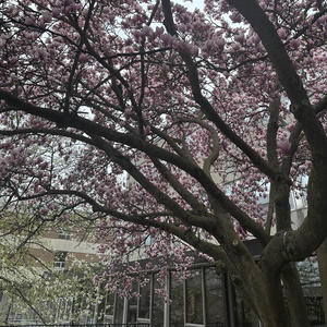 heartbeat (Explicit)