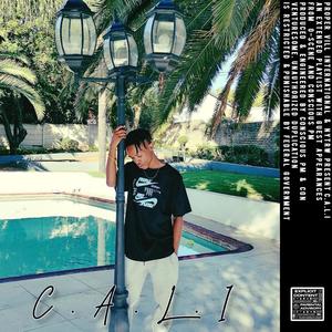 Compromised Assurances (Explicit)