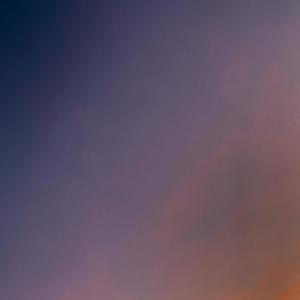 A Language Of Its Own