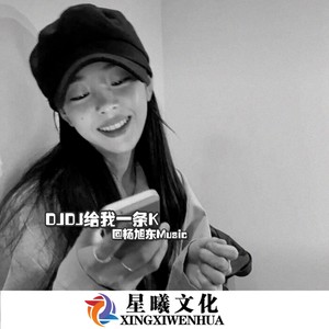 DJDJ给我一条k (DJ版)