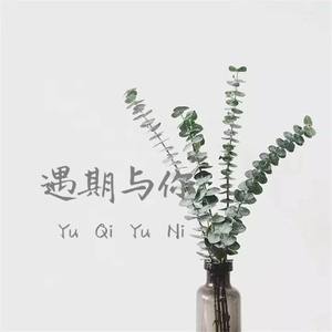 遇期与你 伴奏