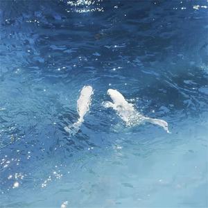 空山野马 (氛围版)
