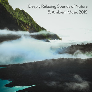 Deeply Relaxing Sounds of Nature & Ambient Music 2019