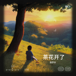 茶花开了-洛学长