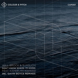 Don't Know Where I'm Going (Inst.)