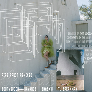 In the Fall (Martyn Bootyspoon Remix|Explicit)