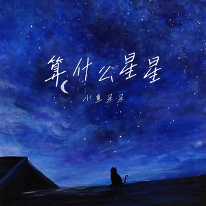 算什么星星 (伴奏)