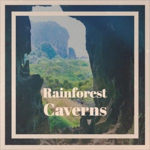 Rainforest Caverns