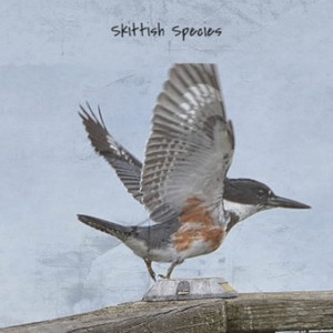 Skittish Species