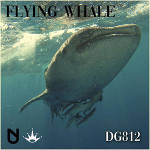 Flying Whale