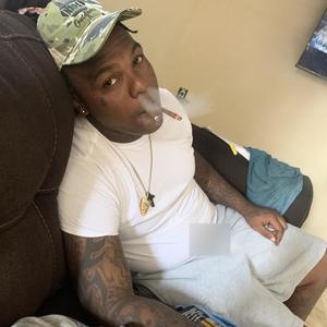 HIGHEST REGULAR (Explicit)