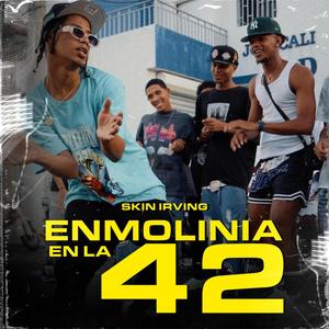 Enmolinia En La 42 (feat. SkinirvinG) (Explicit)