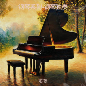 钢琴系列-星烙印