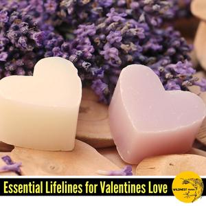 Joy of the Chase(Solo Piano in E Minor)