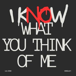 I KNOW WHAT YOU THINK OF ME