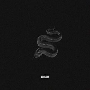 Nevěřím nikomu (feat. SG & RRELLY) (Explicit)