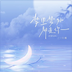 梦里梦外都是你 (喜欢变成了恨)