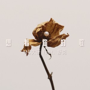想着你的歌