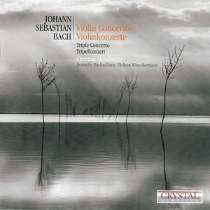 Deutsche Bachsolisten - Bach: Violin Concertos BWV 1041 - 1044 - Violin Concerto in E Major, BWV 1042: I. Allegro in E Major