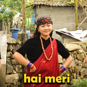 hai meri