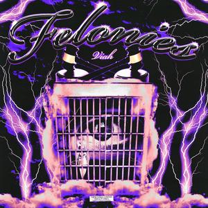 Felonies (Explicit)